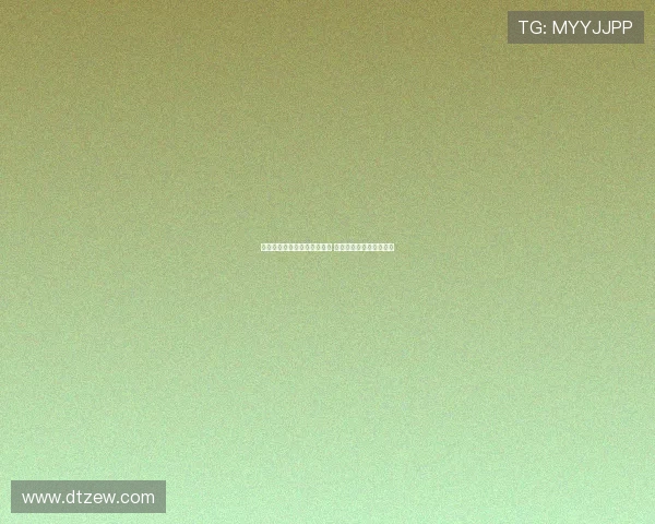 维尼修斯：安帅仍在适应阶段 我们需要给予他更多时间